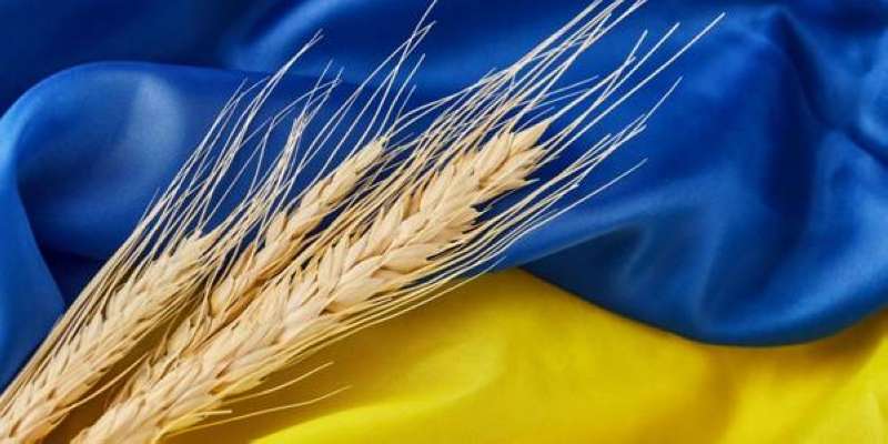 كييف: الغزو الروسي قد يحرم العالم من القمح الأوكراني 3 مواسم