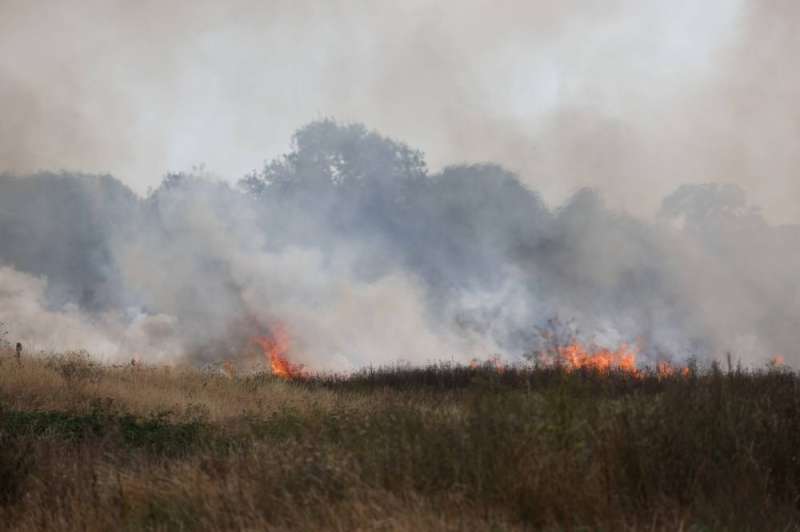 النيران تلتهم آلاف الهكتارات في إسبانيا